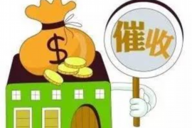 集宁清数公司联系电话：一站式数据服务，您的专业合作伙伴